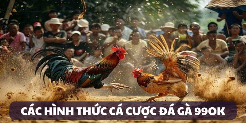 Các loại hình gà chọi