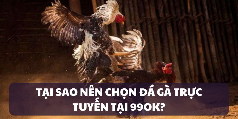 Ưu điểm của sảnh